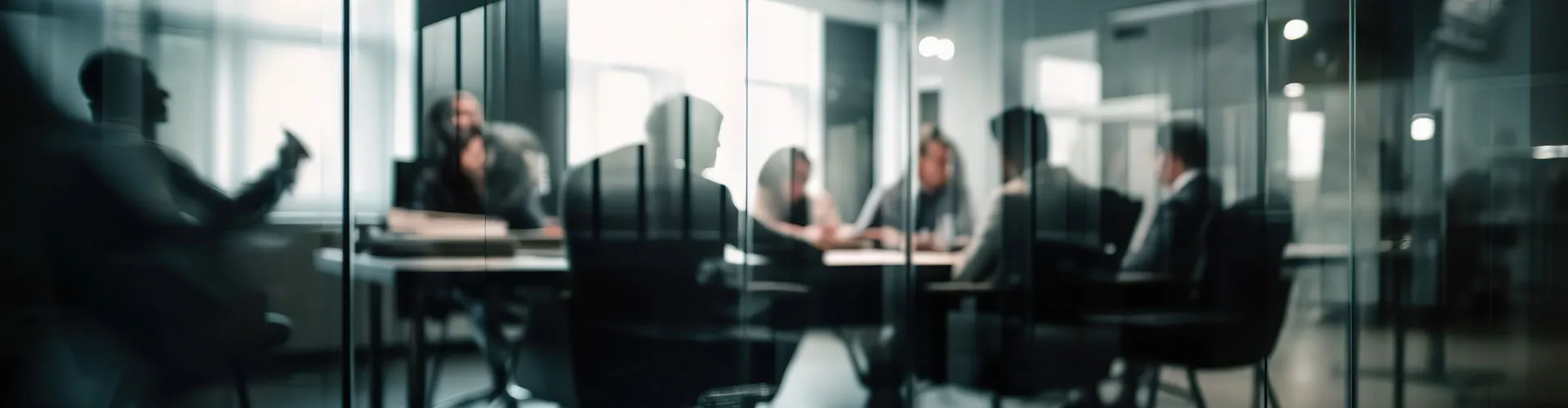 Consulting Ulm & Schendel GmbH & Co. KG cover