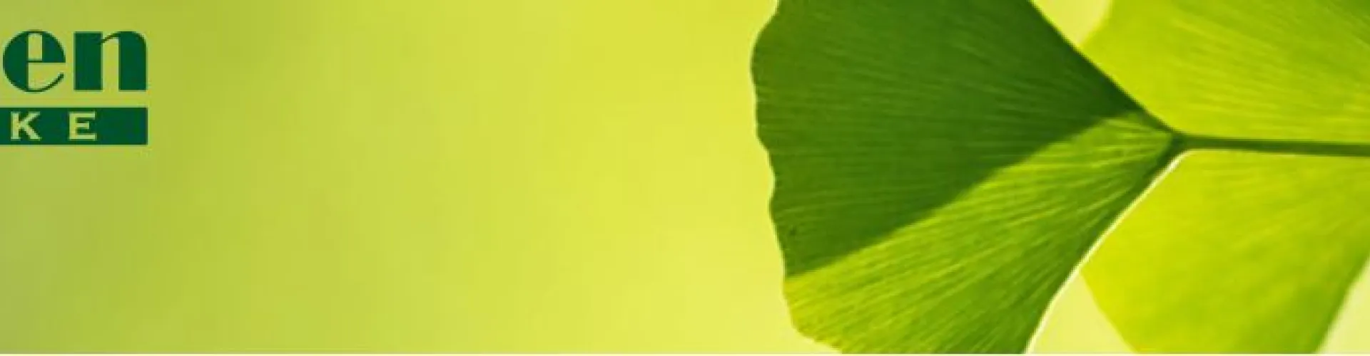 Magdalenen Apotheke cover