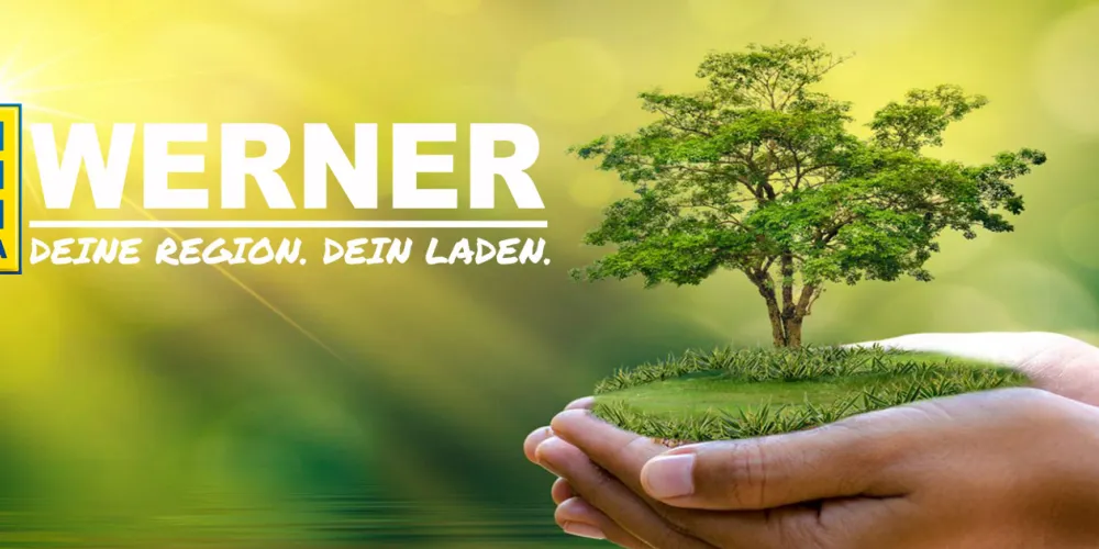 EDEKA Werner - Lebensmittelmärkte Werner Verwaltungsgesellschaft mbH